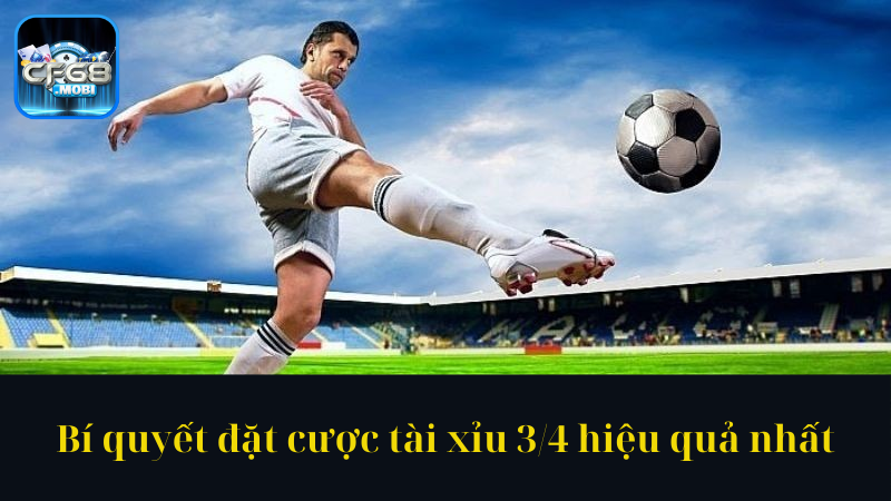 Bí quyết đặt cược tài xỉu 34 hiệu quả nhất Bí quyết đặt cược tài xỉu 34 hiệu quả nhất
