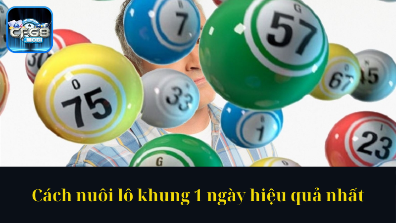 Cách nuôi lô khung 1 ngày hiệu quả nhất Cách nuôi lô khung 1 ngày hiệu quả nhất