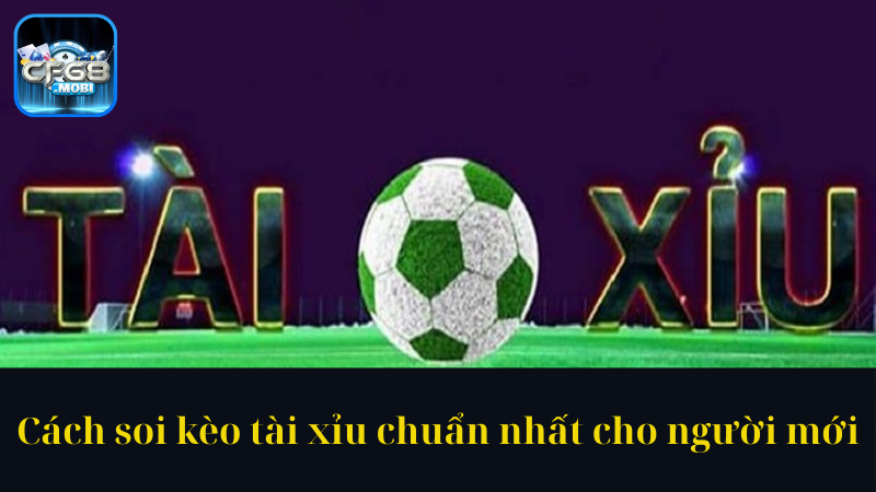 Cách soi kèo tài xỉu chuẩn nhất cho người mới Cách soi kèo tài xỉu chuẩn nhất cho người mới