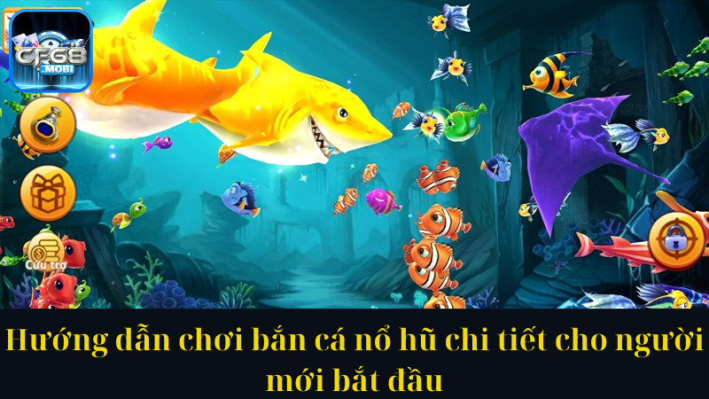 Hướng dẫn chơi bắn cá nổ hũ chi tiết cho người mới bắt đầu Hướng dẫn chơi bắn cá nổ hũ chi tiết cho người mới bắt đầu