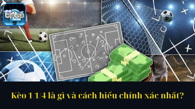 Kèo 1 14 là gì và cách hiểu chính xác nhất Kèo 1 14 là gì và cách hiểu chính xác nhất