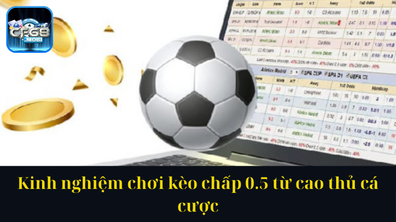 Kinh nghiệm chơi kèo chấp 0.5 từ cao thủ cá cược Kinh nghiệm chơi kèo chấp 0.5 từ cao thủ cá cược
