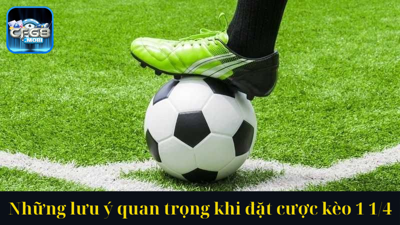 Những lưu ý quan trọng khi đặt cược kèo 1 14 Những lưu ý quan trọng khi đặt cược kèo 1 14