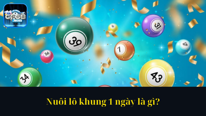 Nuôi lô khung 1 ngày là gì Nuôi lô khung 1 ngày là gì